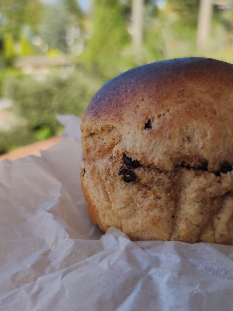 Panettone con pasas y chocolate Panettone con pasas y chocolate