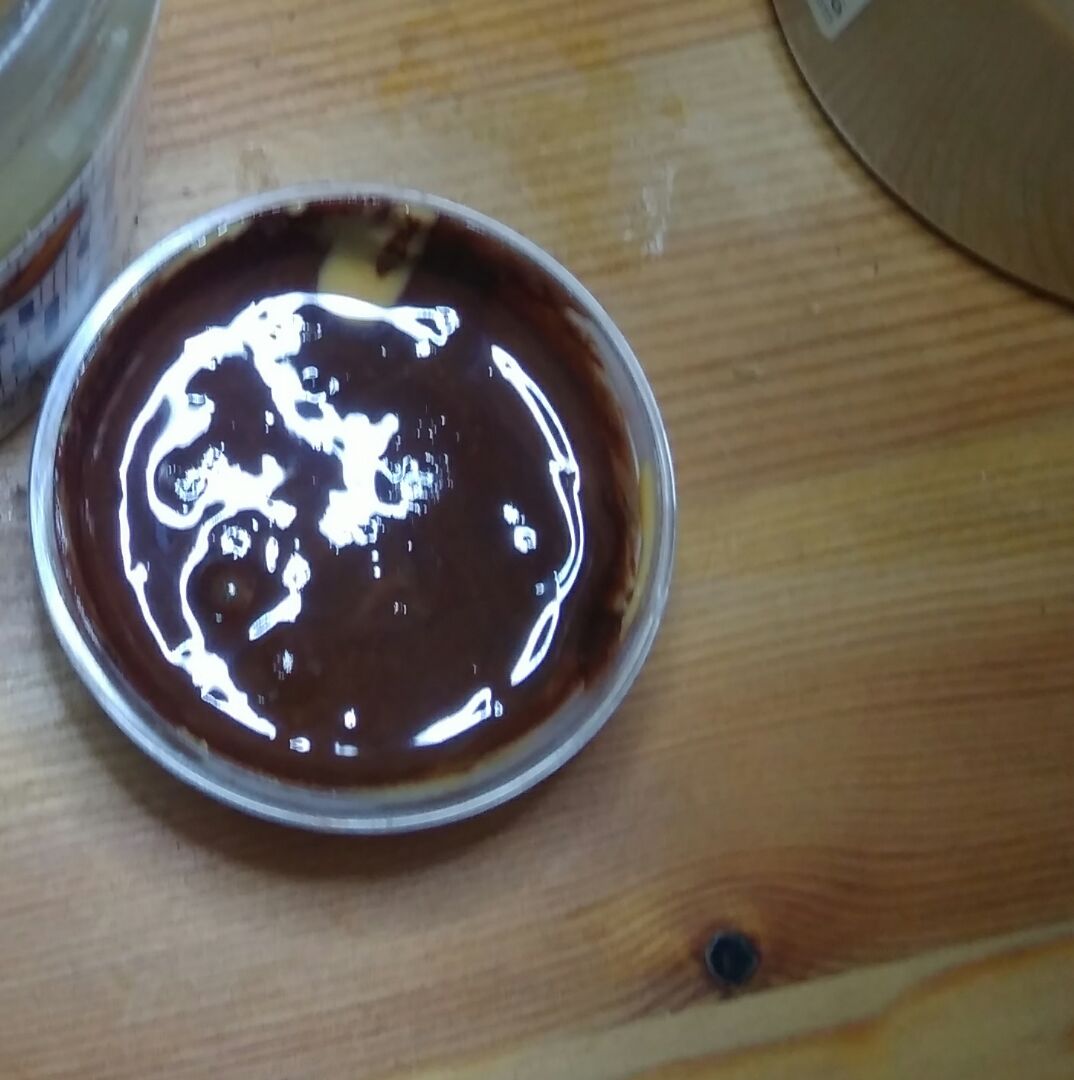 Crema de cacao Crema de cacao