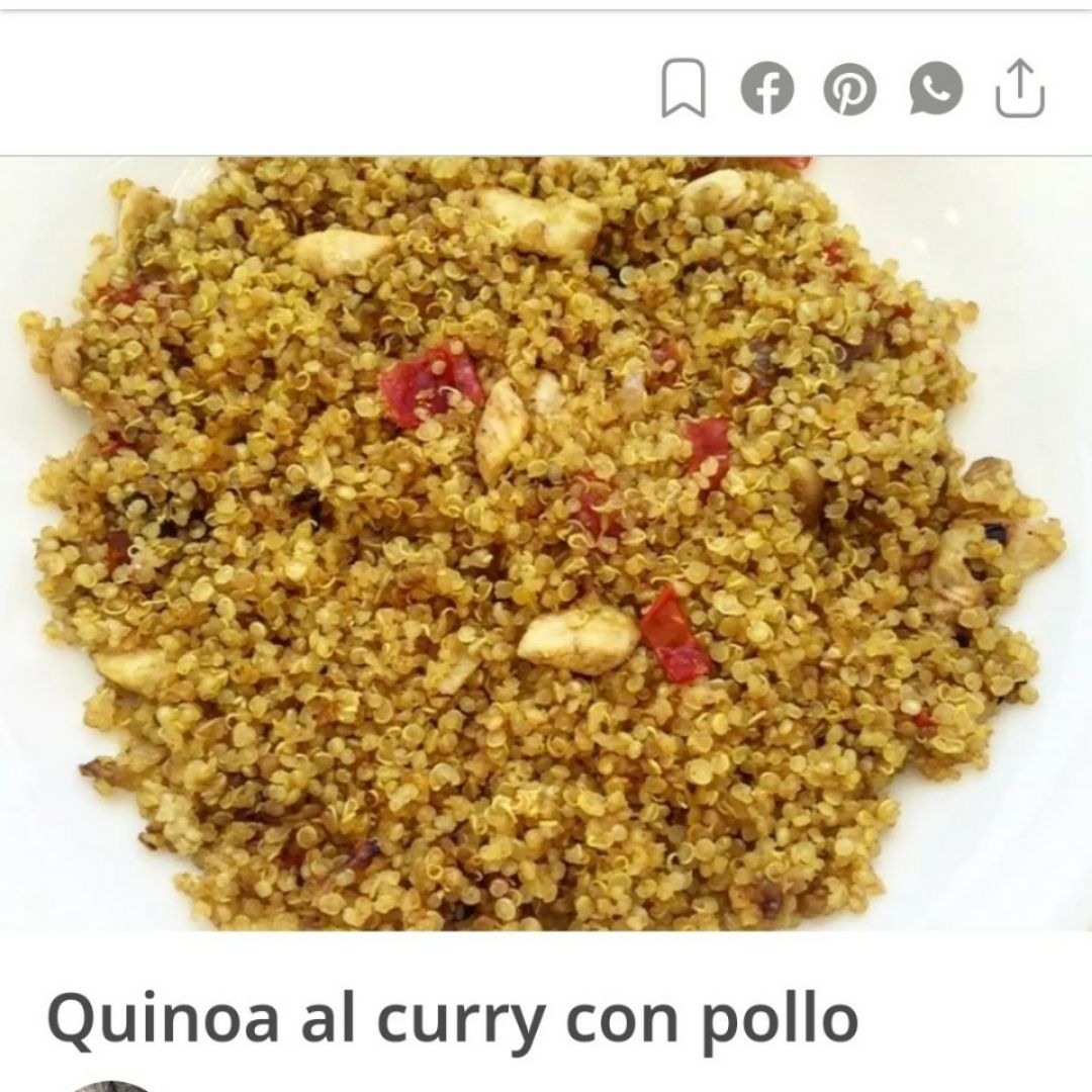 Pollo/ pavo al curry