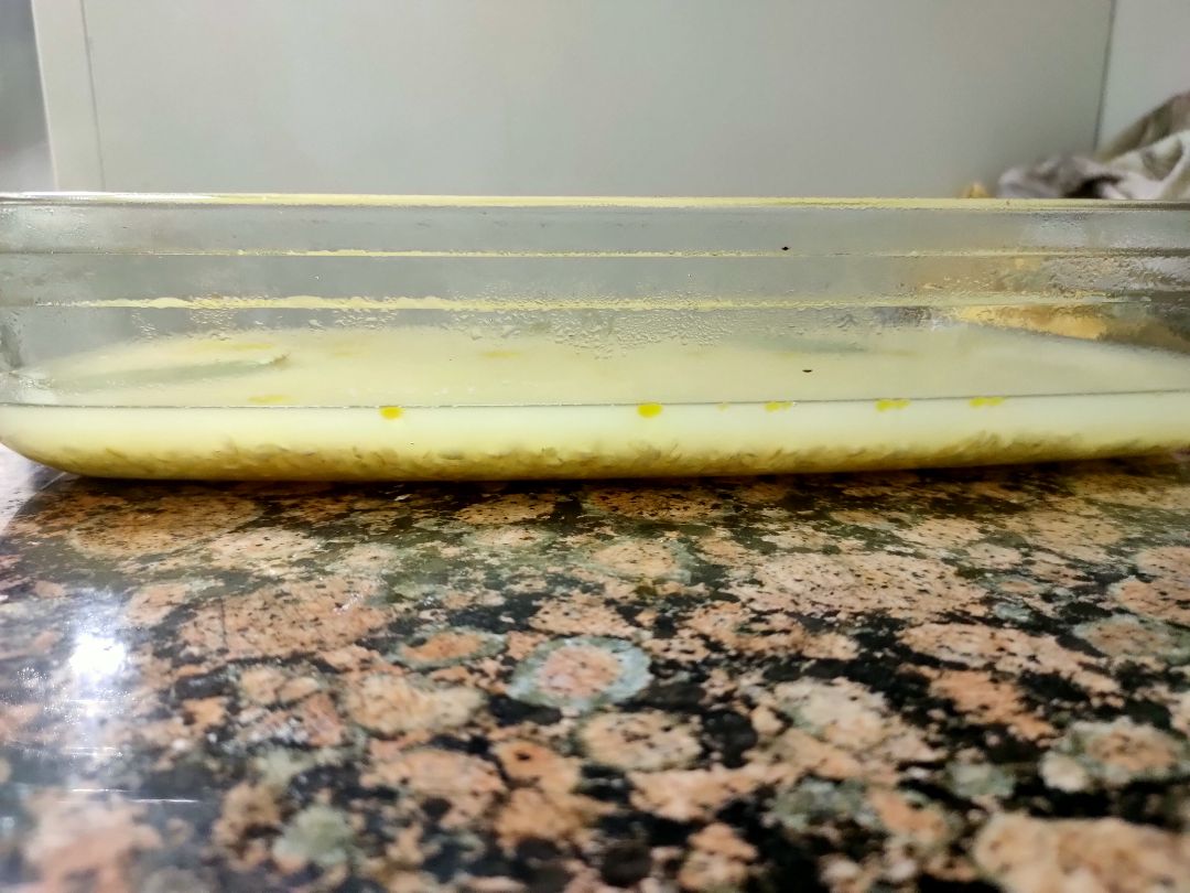 Arroz integral al horno (caldo y laurel) Paso 1 Arroz integral al horno (caldo y laurel) Paso 1