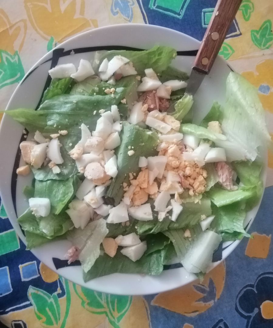 Ensalada atún huevo y aceitunas negras Ensalada atún huevo y aceitunas negras