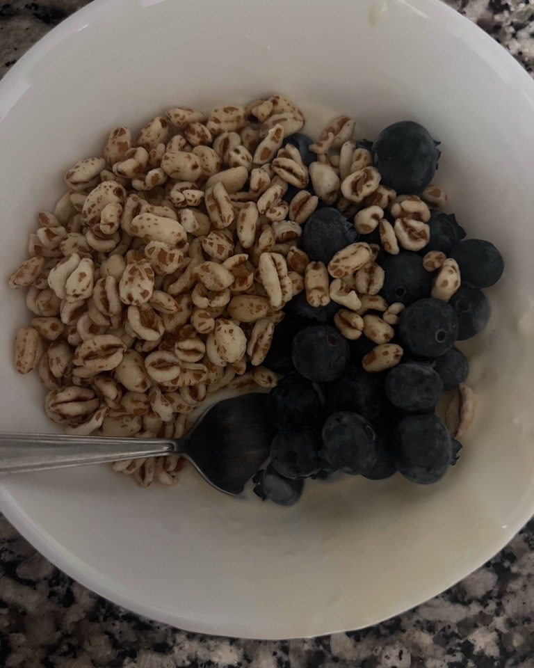 Yogur vegetal con arándanos y espelta con miel Yogur vegetal con arándanos y espelta con miel