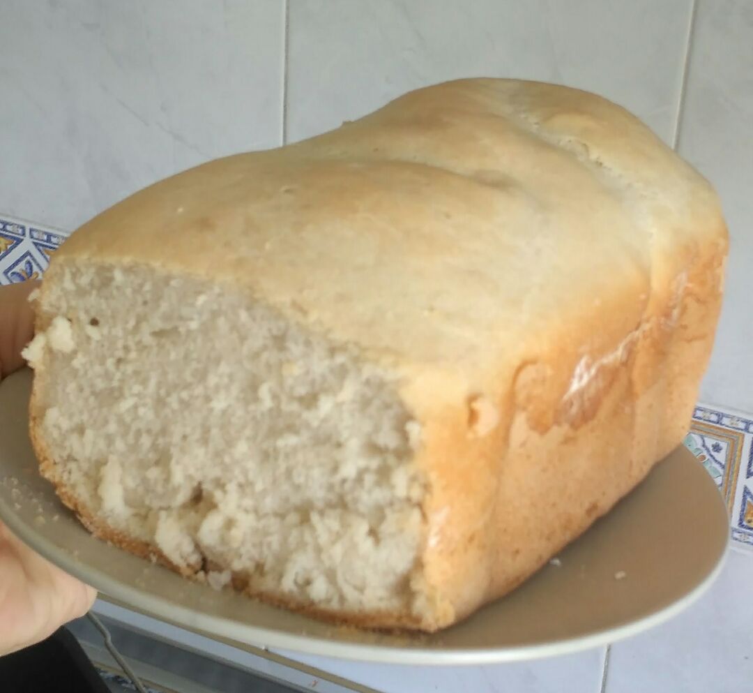 Pan sin gluten Pan sin gluten