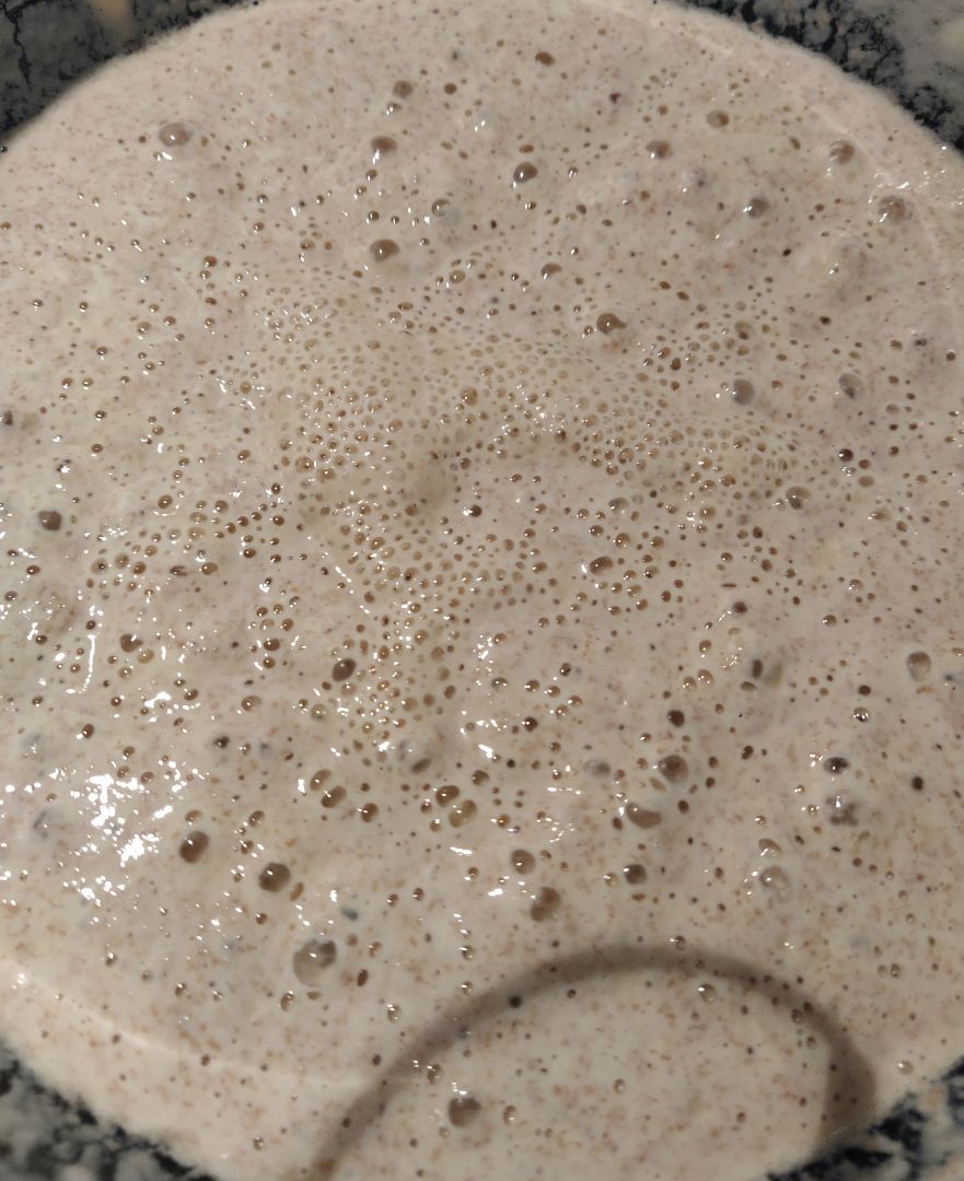 Masa madre (receta y conservación) 