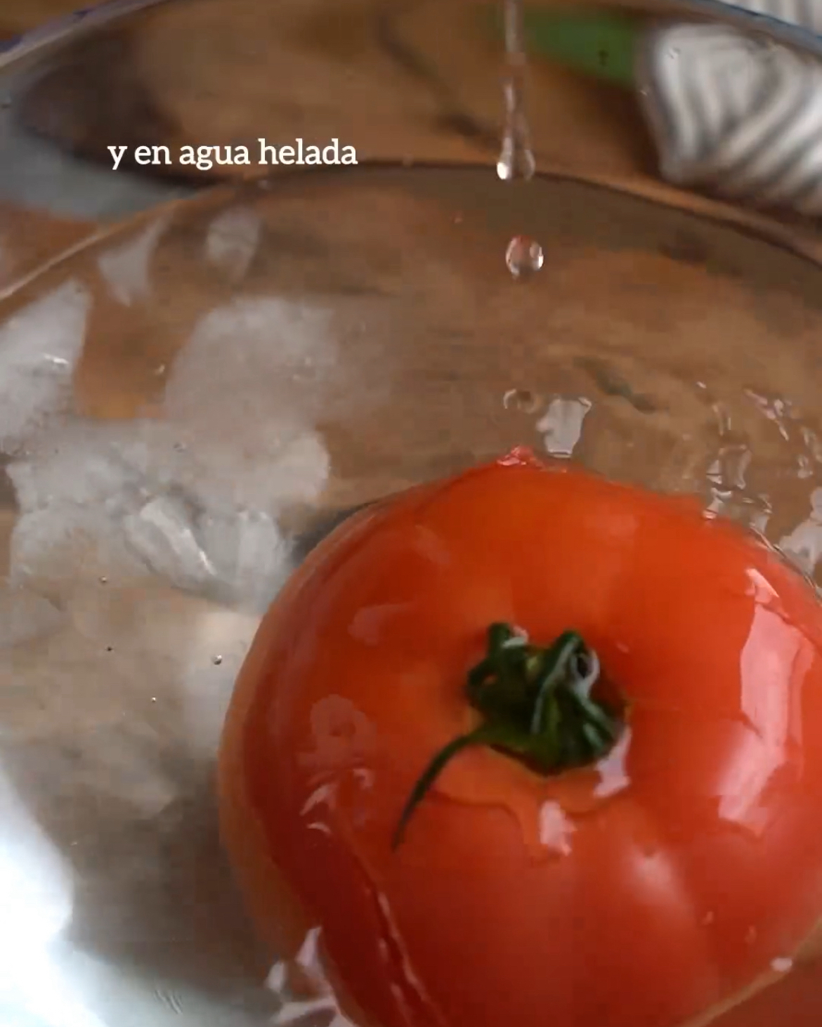 Bomba de tomate y burrata Paso 1 Bomba de tomate y burrata Paso 1