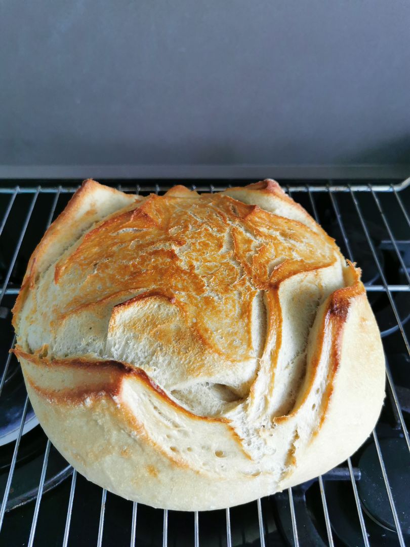 Pan integral Pan integral