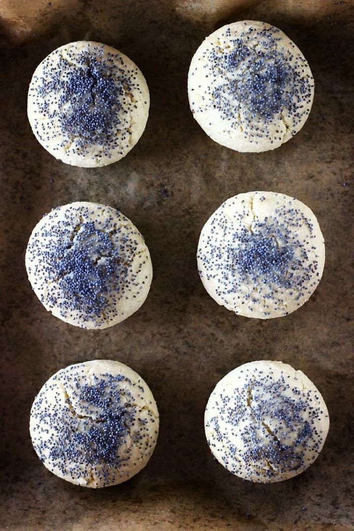 Panecillos esponjosos con semillas de amapola | 100% veganos y sin gluten Panecillos esponjosos con semillas de amapola | 100% veganos y sin gluten
