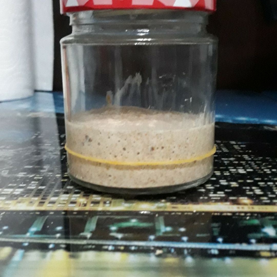 Masa Madre Paso 4 Masa Madre Paso 4