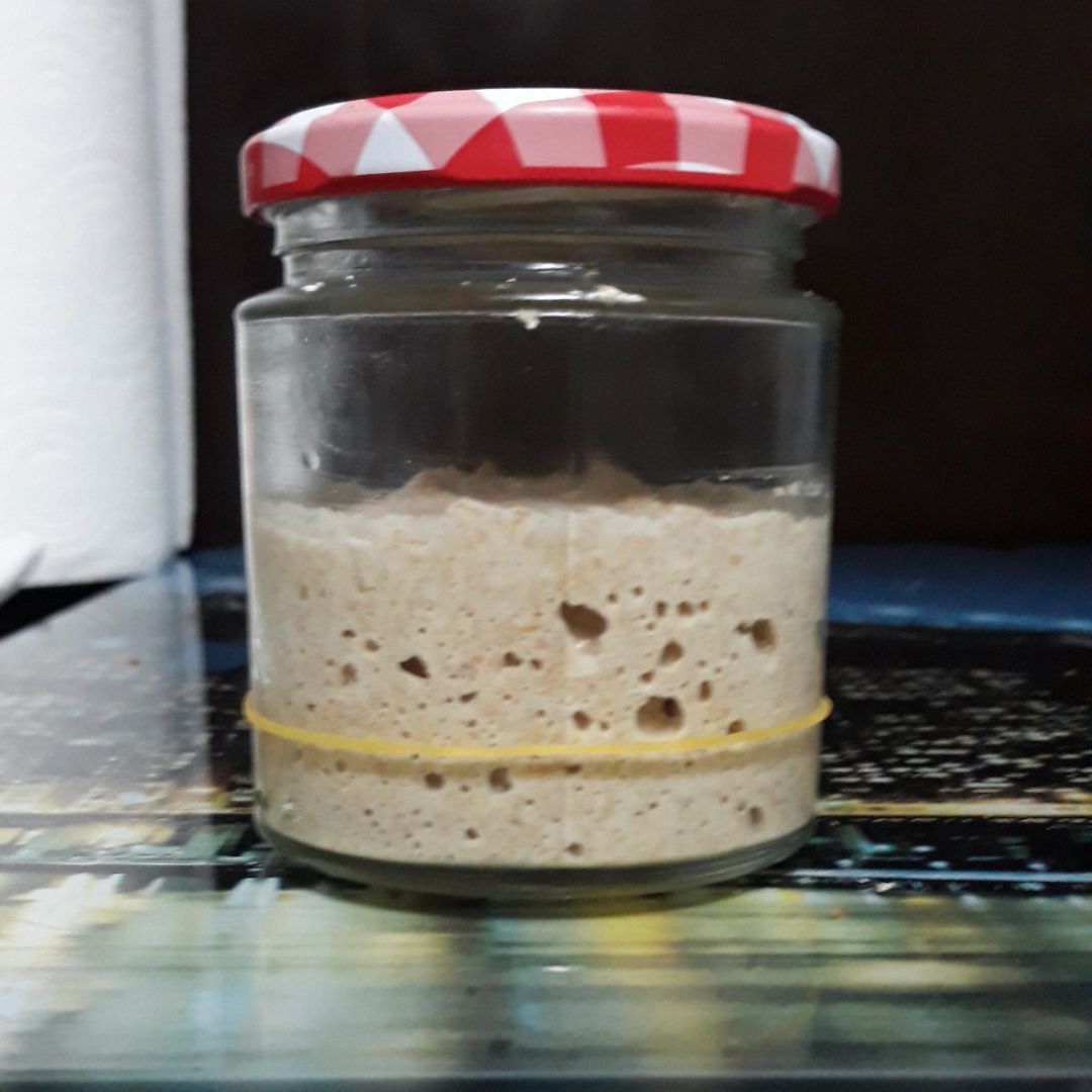 Masa Madre Paso 5 Masa Madre Paso 5