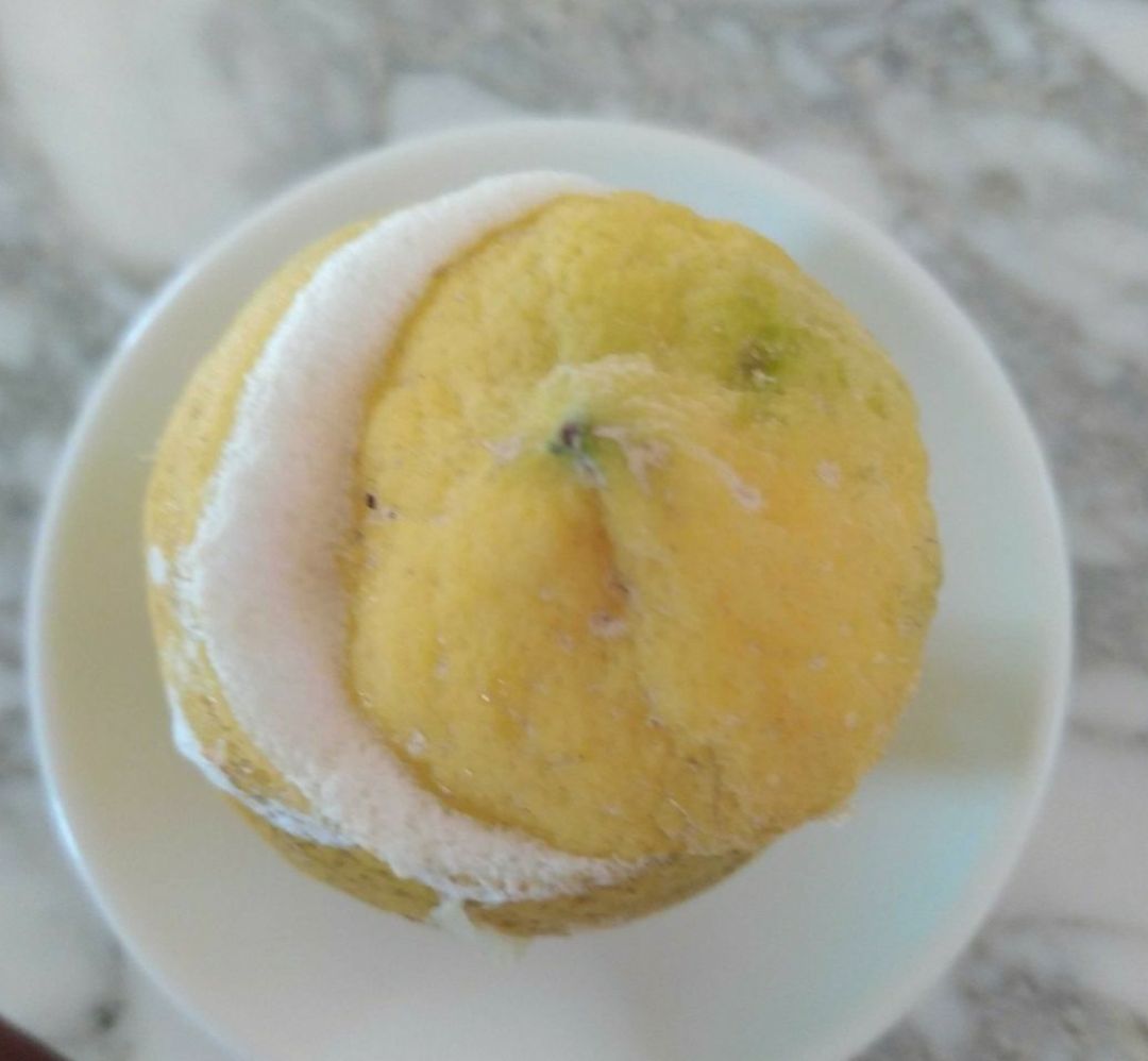🍨Helado de Limón 🍋 🍨Helado de Limón 🍋