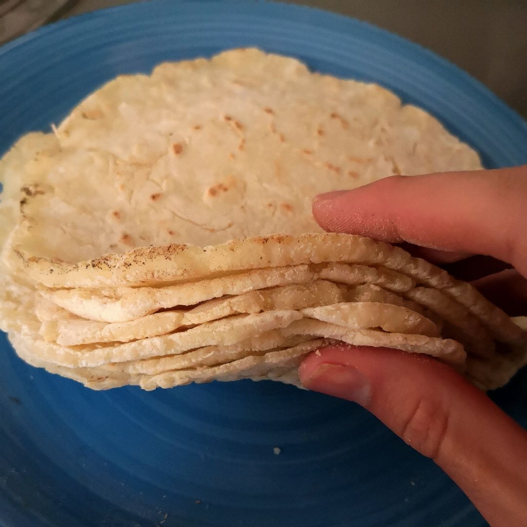 TORTILLAS DE MAÍZ 🌽 TORTILLAS DE MAÍZ 🌽