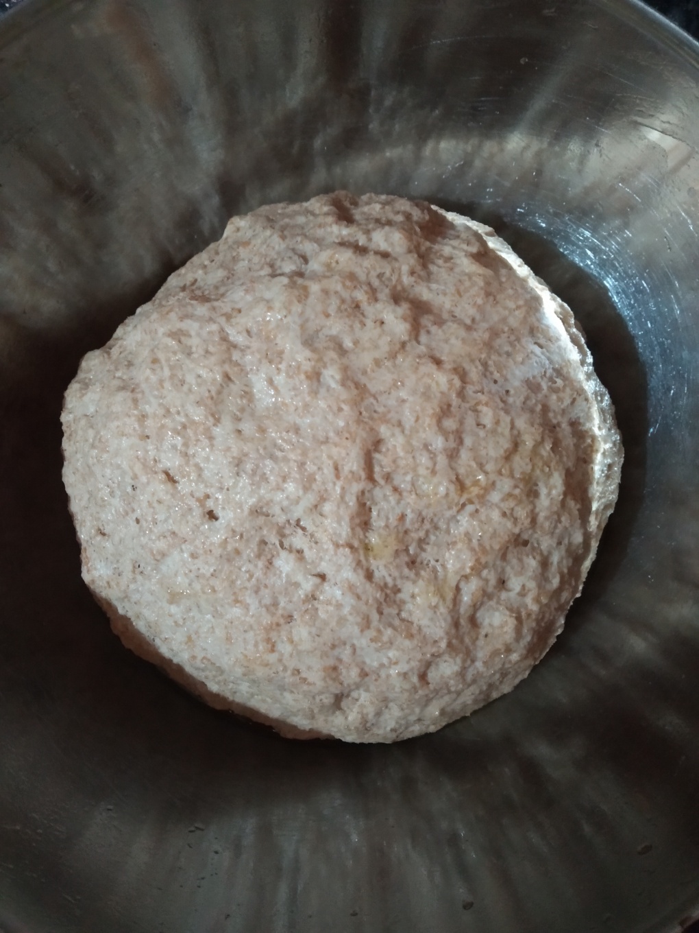 🌸PAN DE PITA INTEGRAL🌸Step 0