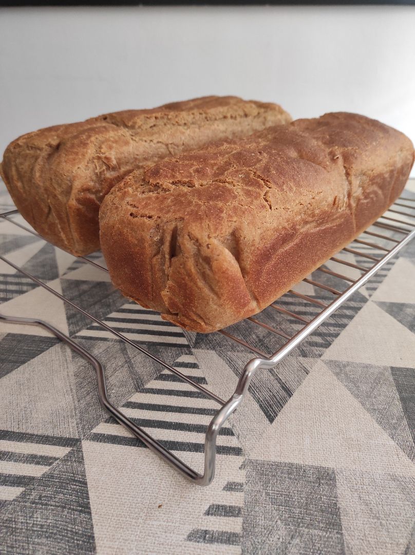 Pan proteico