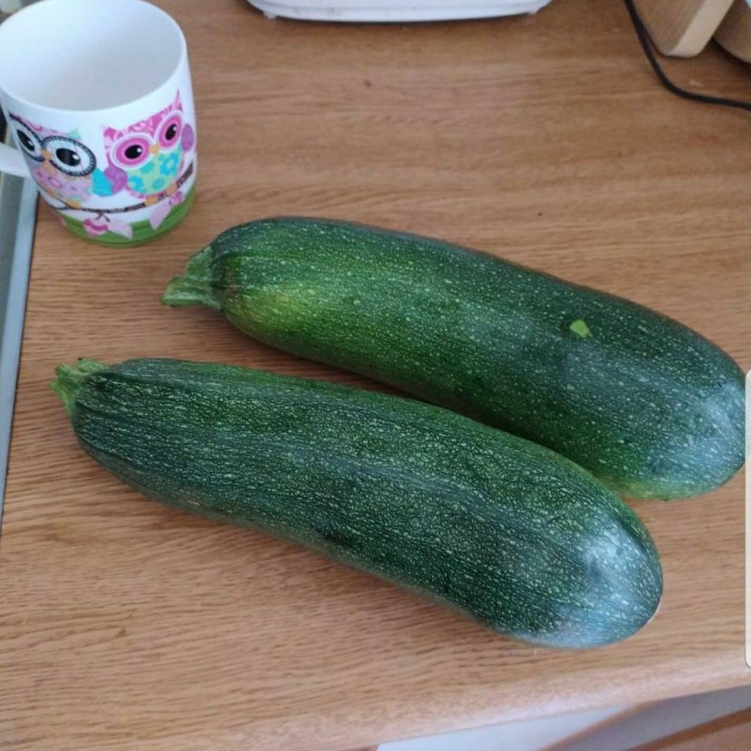 CALABACINES GIGANTES RELLENOS DE QUINOA Y VERDURAS 💚 Paso 0 CALABACINES GIGANTES RELLENOS DE QUINOA Y VERDURAS 💚 Paso 0