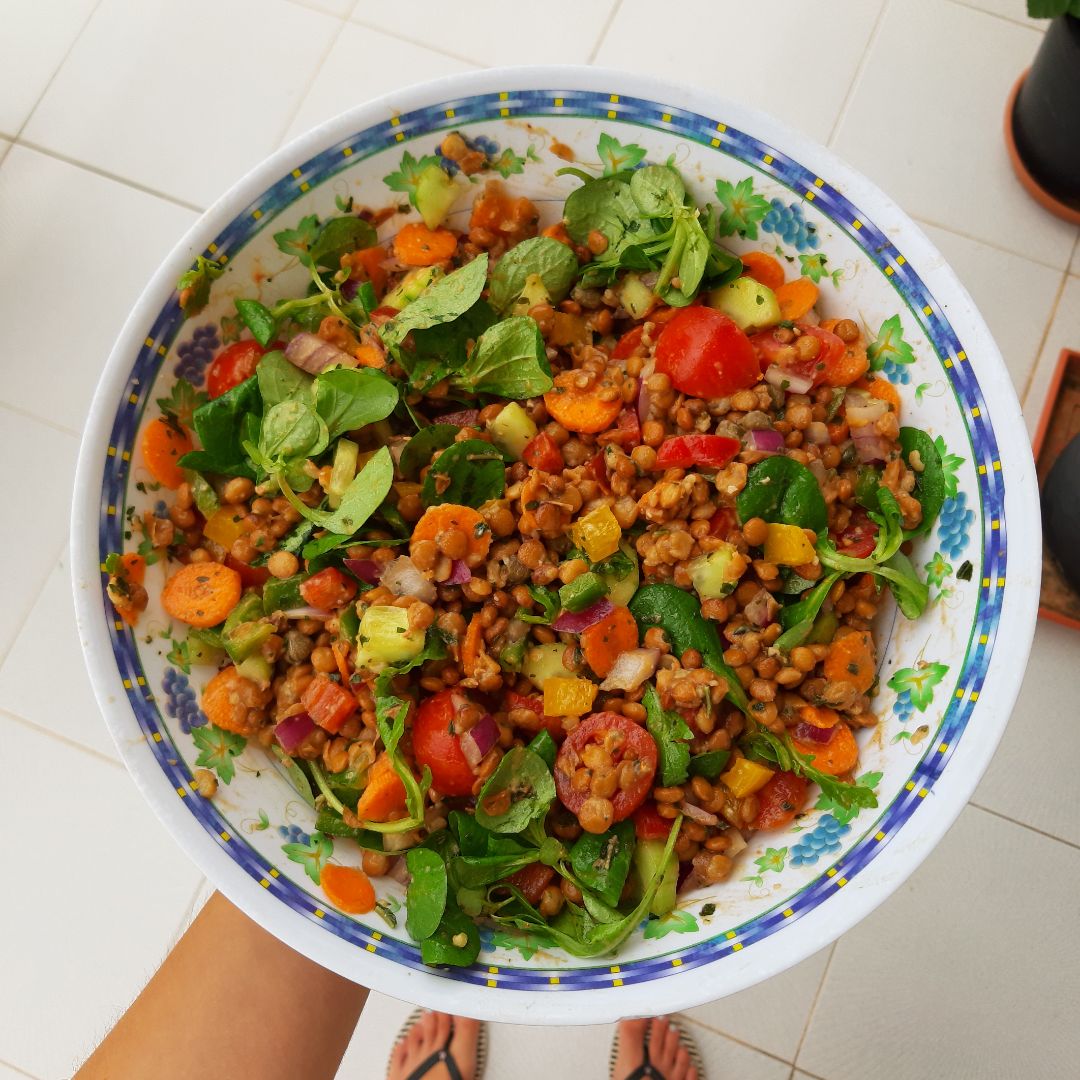 Ensalada fría de lentejas