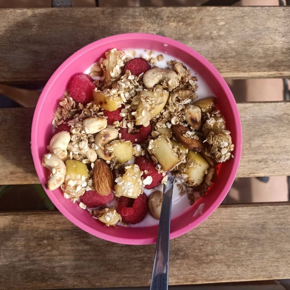 Granola casera Granola casera