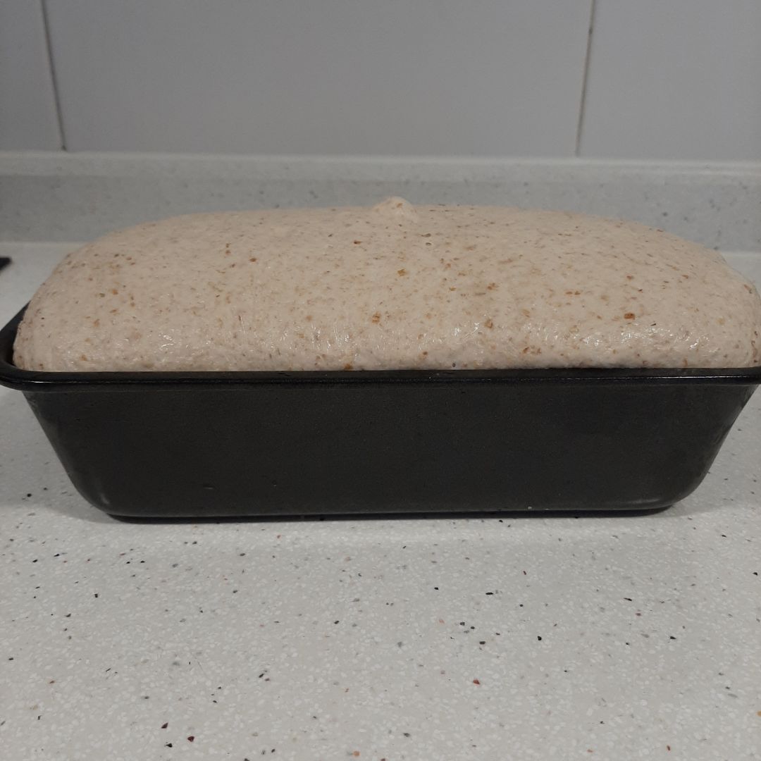 Pan integral con prefermento. Paso 5 Pan integral con prefermento. Paso 5