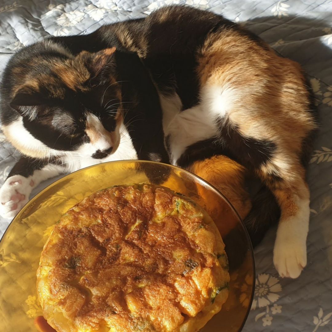 Tortilla de patatas, pimiento y cebolla 