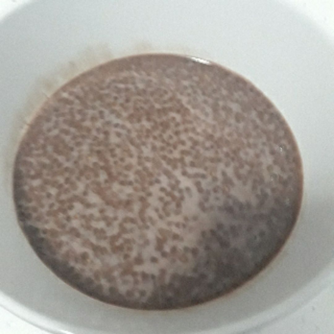 Puding de chia Puding de chia