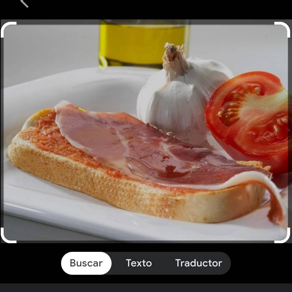 Tostadas de tomate rallado jamón y aceite de oliva Tostadas de tomate rallado jamón y aceite de oliva