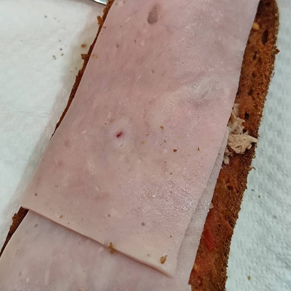 Tostada de pavo y atún