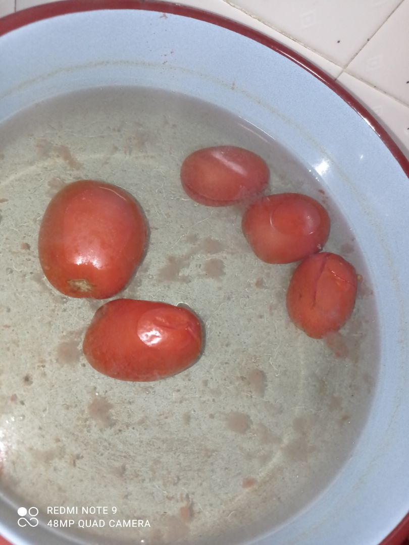 🍅Sopa de tomate🍅 Paso 1 🍅Sopa de tomate🍅 Paso 1