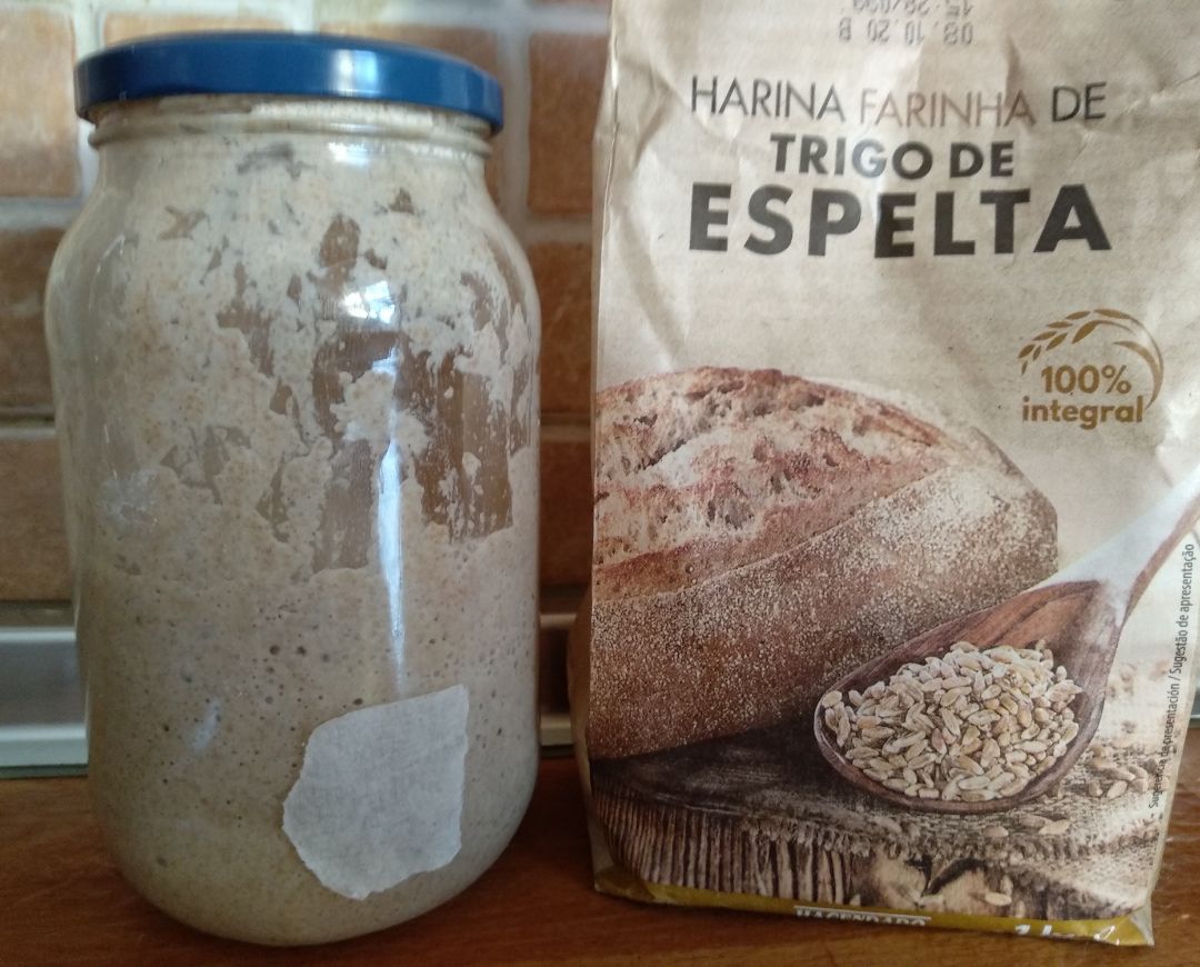 Masa madre pan Masa madre pan
