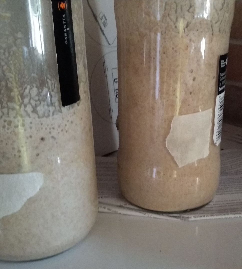 Masa madre pan Paso 2 Masa madre pan Paso 2