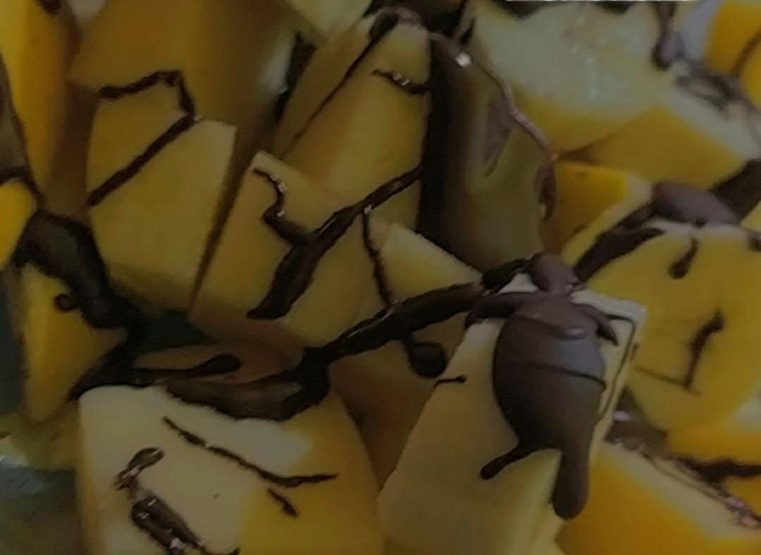 Frutas con chocolate negro fundido Frutas con chocolate negro fundido