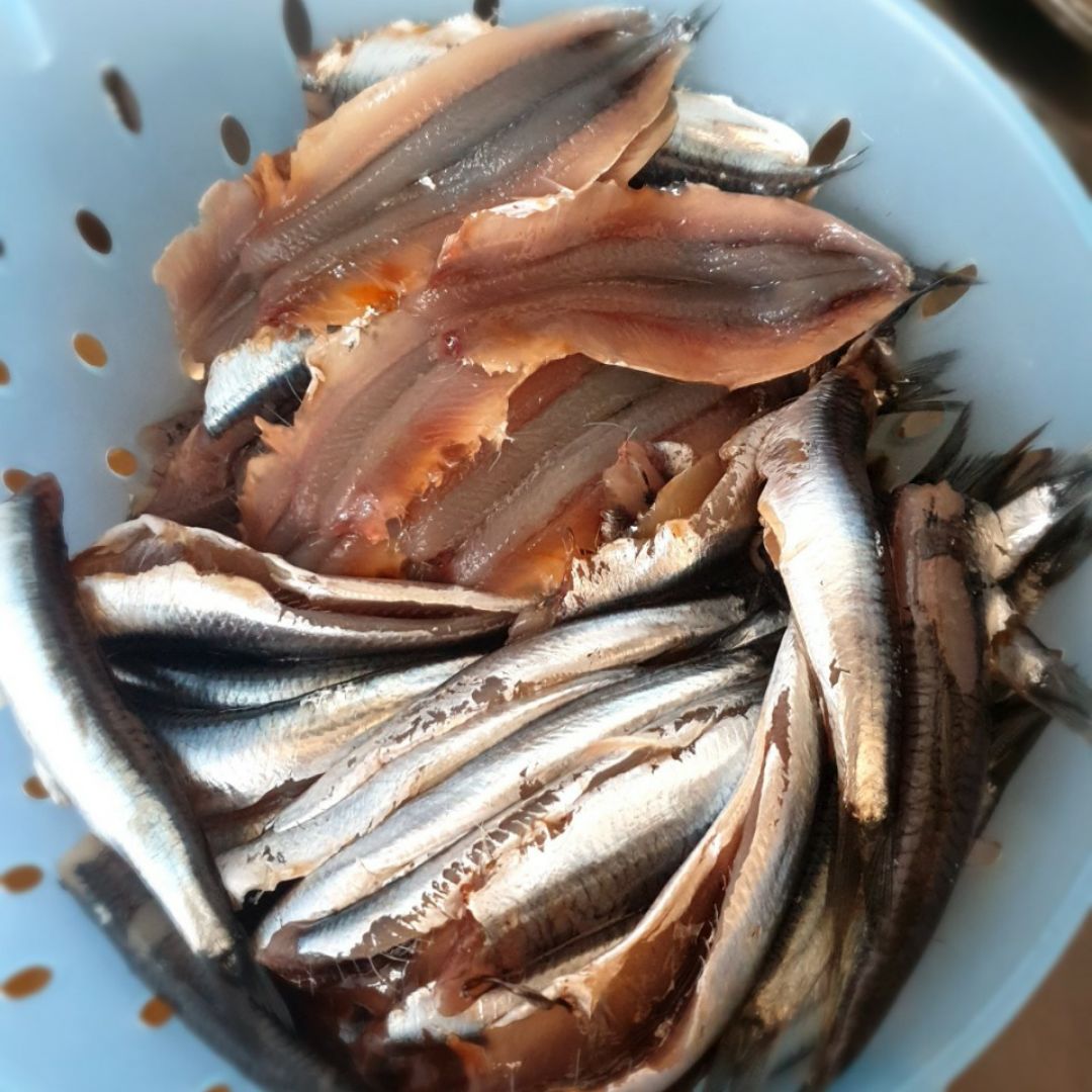 Boquerones del Cantábrico rebozados Paso 0