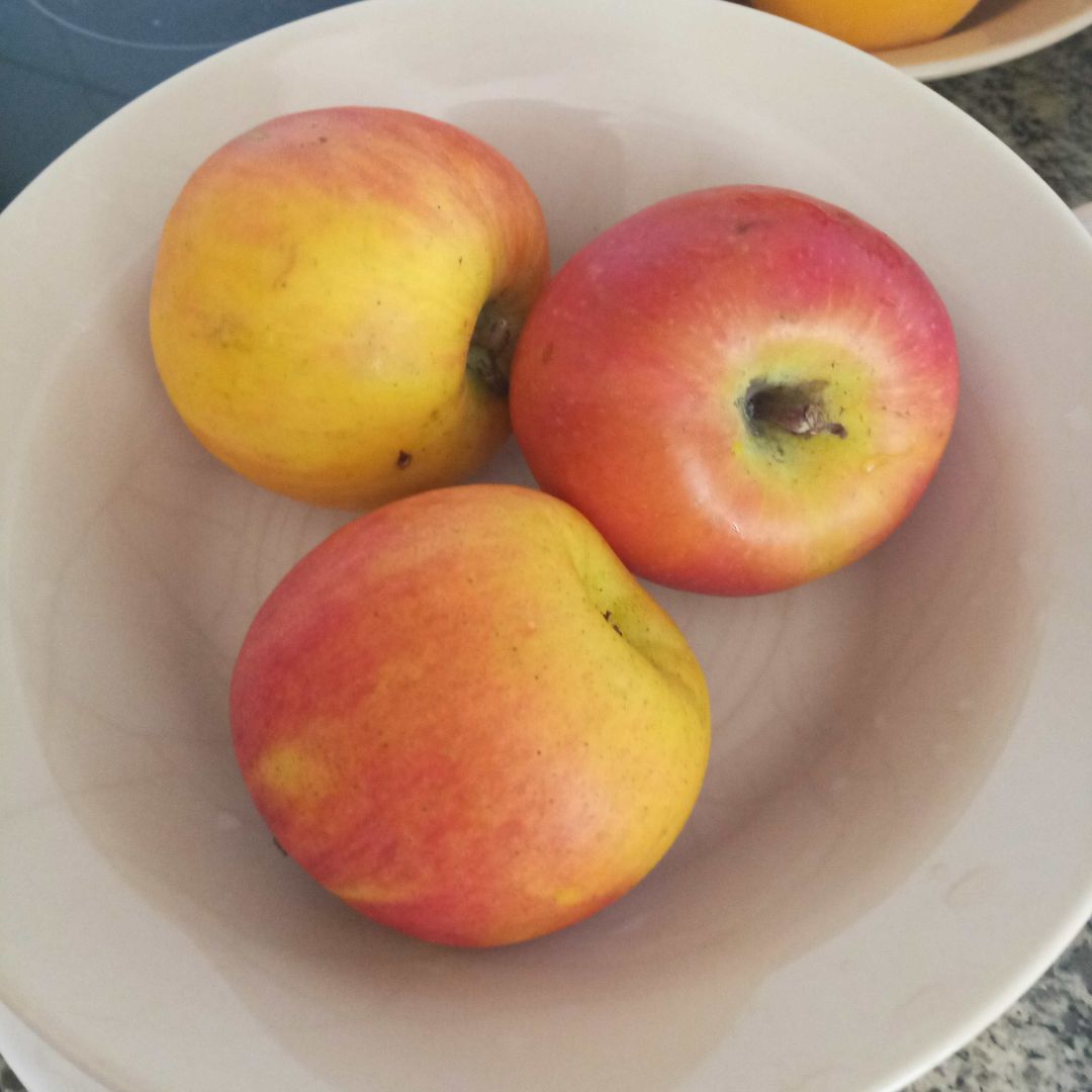 Compota de pera y manzana Compota de pera y manzana