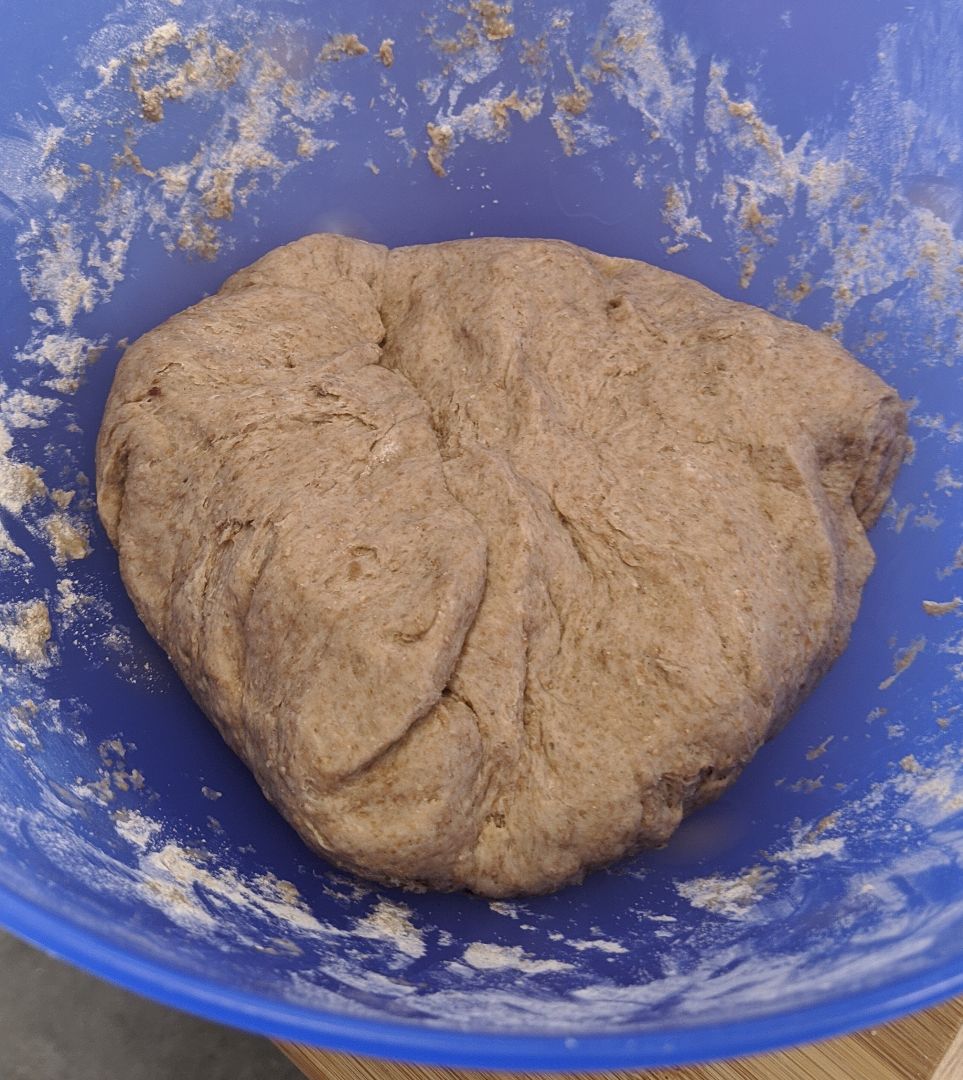 Pan de hamburguesa integral 🍔 Paso 0 Pan de hamburguesa integral 🍔 Paso 0