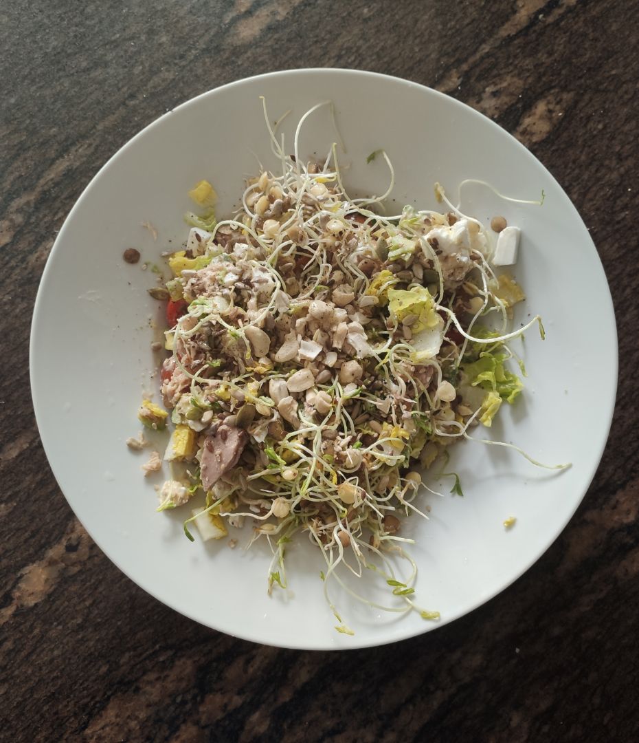 Ensalada de germinados de lentejas Ensalada de germinados de lentejas