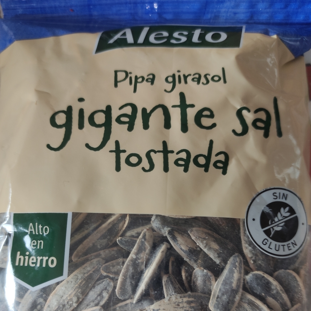 Pipa girasol gigante sal tostada Pipa girasol gigante sal tostada