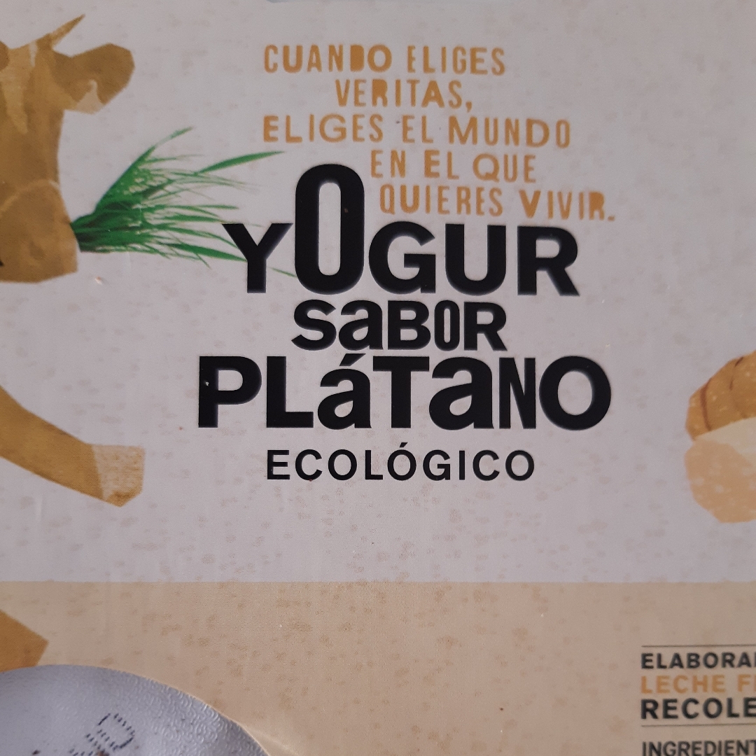 Yogur sabor plátano ecológico Yogur sabor plátano ecológico