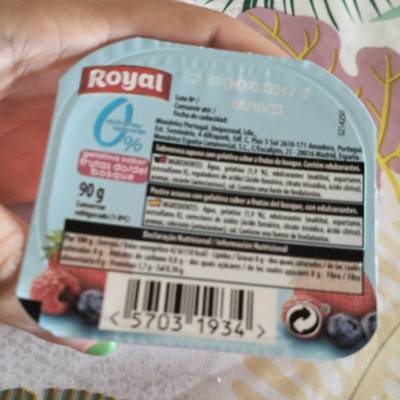 Gelatina Frutas Del Bosque Gelatina Frutas Del Bosque