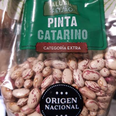 Alubia Pinta Catarino