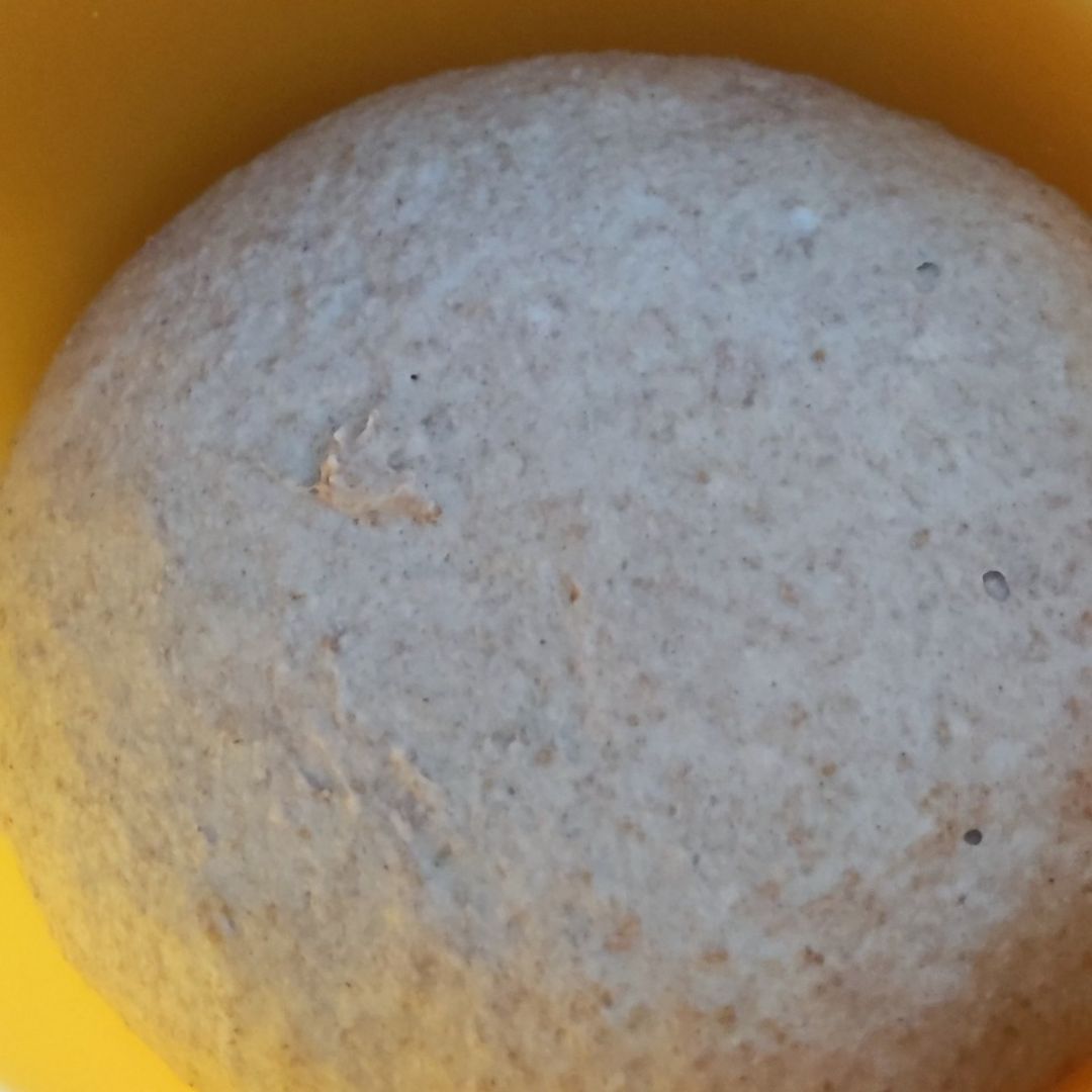 Pan Espelta 4 ingredientes Paso 3 Pan Espelta 4 ingredientes Paso 3