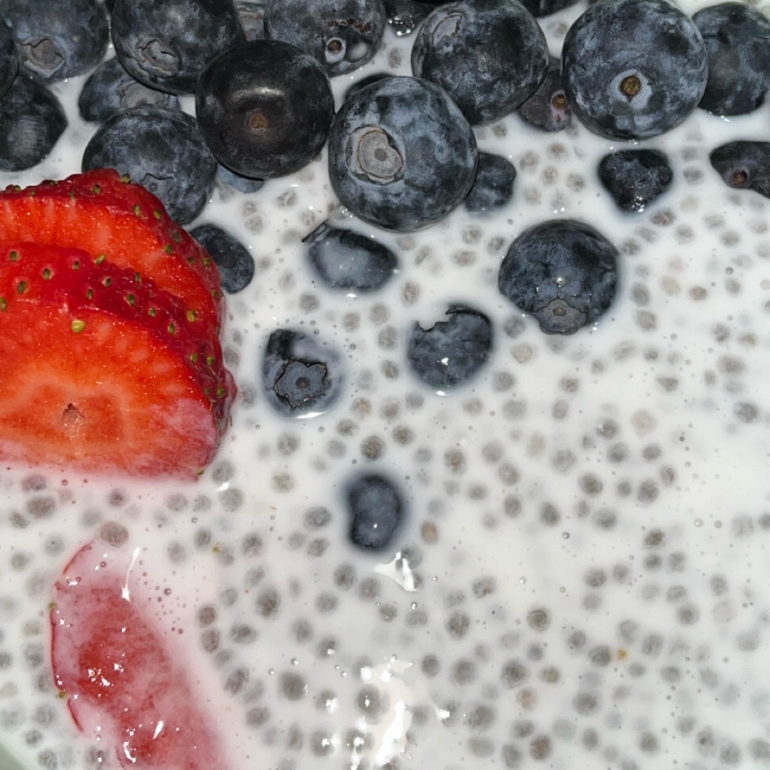 pudding de chia pudding de chia