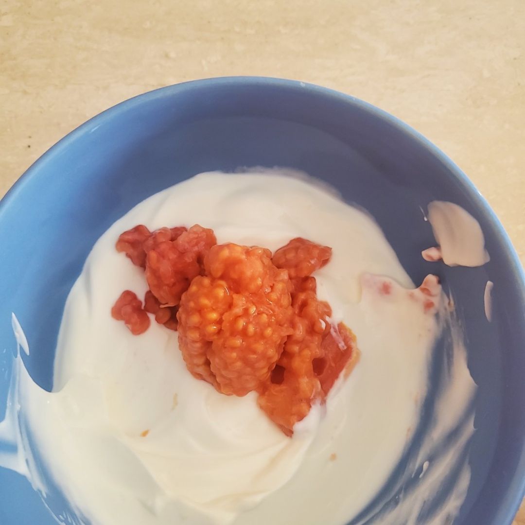 Yogur griego natural con guayaba Paso 2 Yogur griego natural con guayaba Paso 2