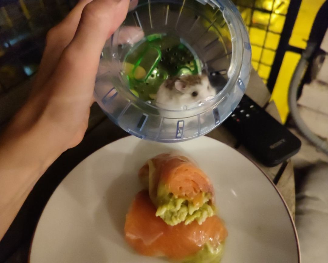 Rollo vietnamita de guacamole, noodles konjac y salmón ahumado. Rollo vietnamita de guacamole, noodles konjac y salmón ahumado.