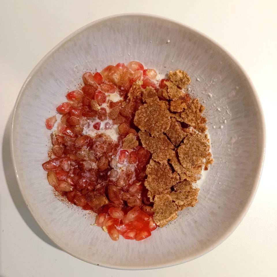 Bowl de queso crema 🧀 con granada y cereales 🥣