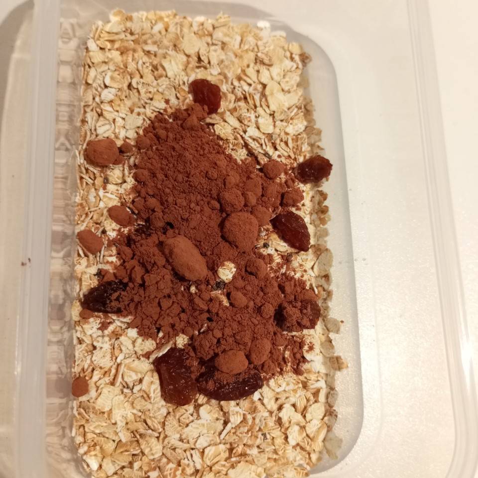 Overnight de chocolate 🍫, coco 🥥 y galletas 🍪