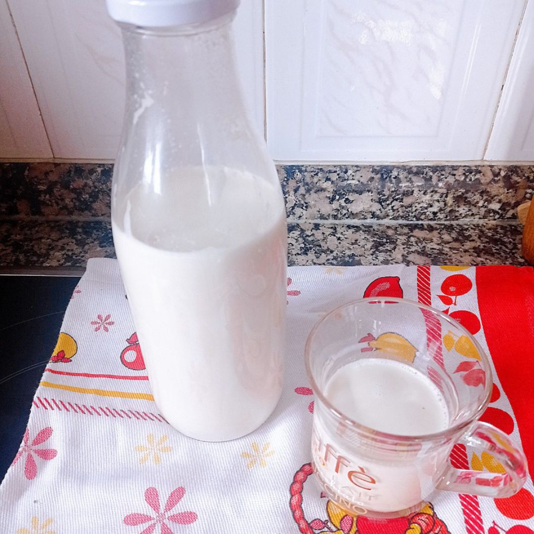 Leche de anacardos saludable y deliciosa Leche de anacardos saludable y deliciosa