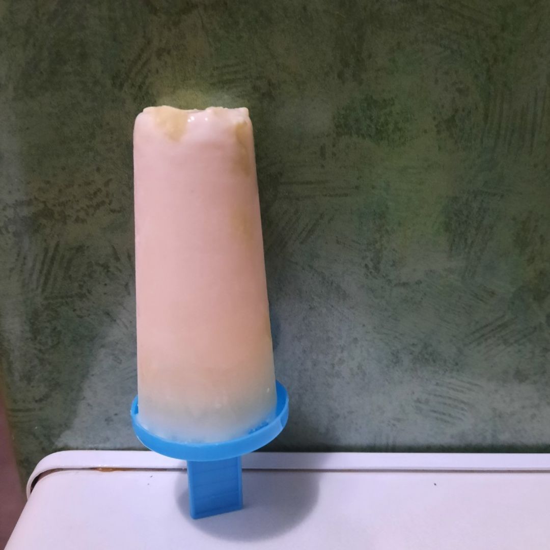 Polo de yogur con trocitos de chocolate 