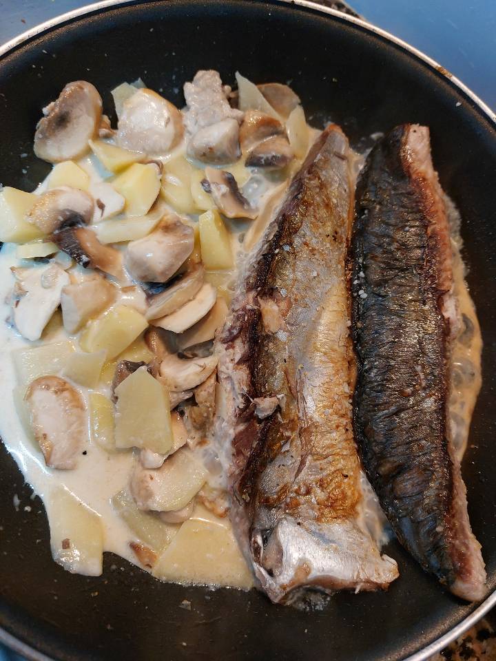 Bonito a la plancha en salsa blanca Bonito a la plancha en salsa blanca