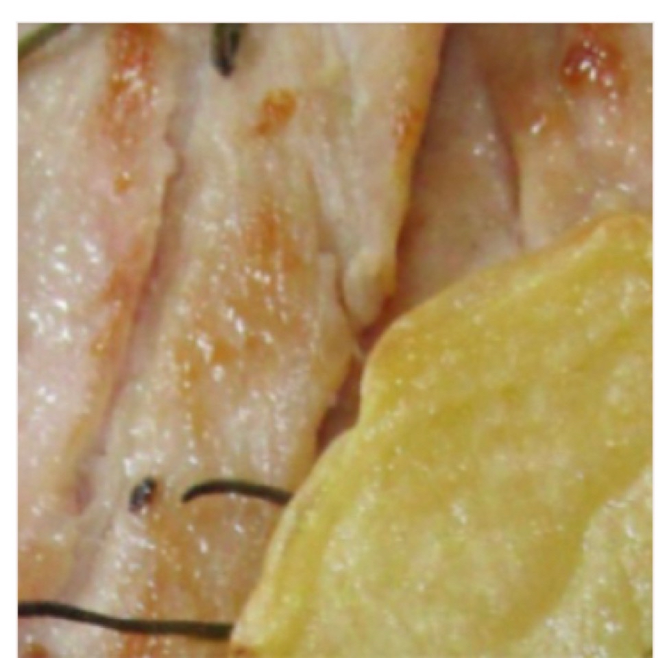 PECHUGA DE POLLO AL LIMÓN PECHUGA DE POLLO AL LIMÓN