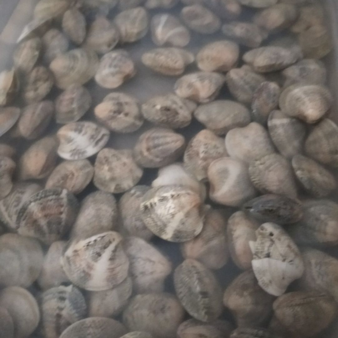 Sopa de arroz con almejas Paso 2 Sopa de arroz con almejas Paso 2