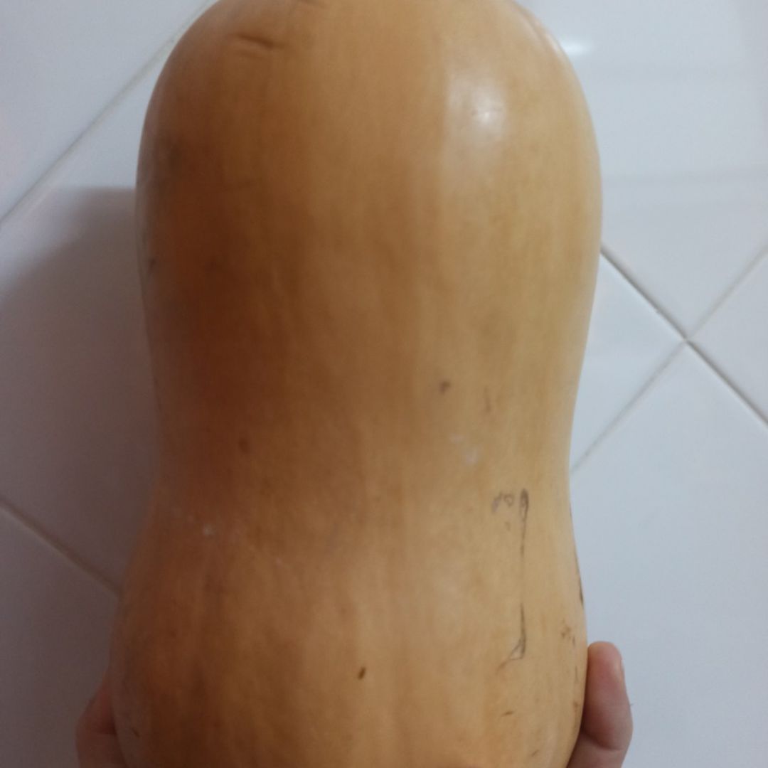 Crema de calabaza Paso 0 Crema de calabaza Paso 0