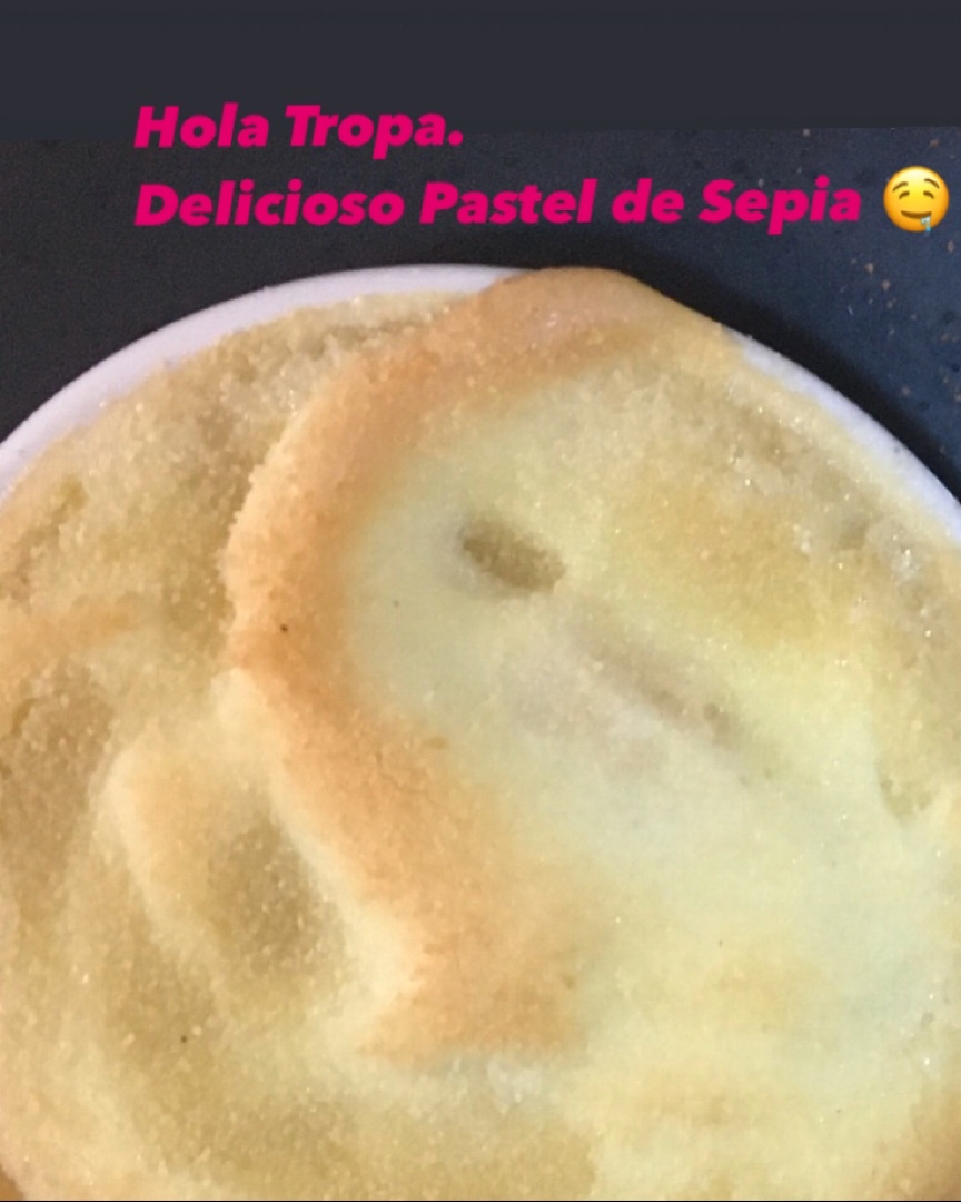 Pastel de sepia Pastel de sepia